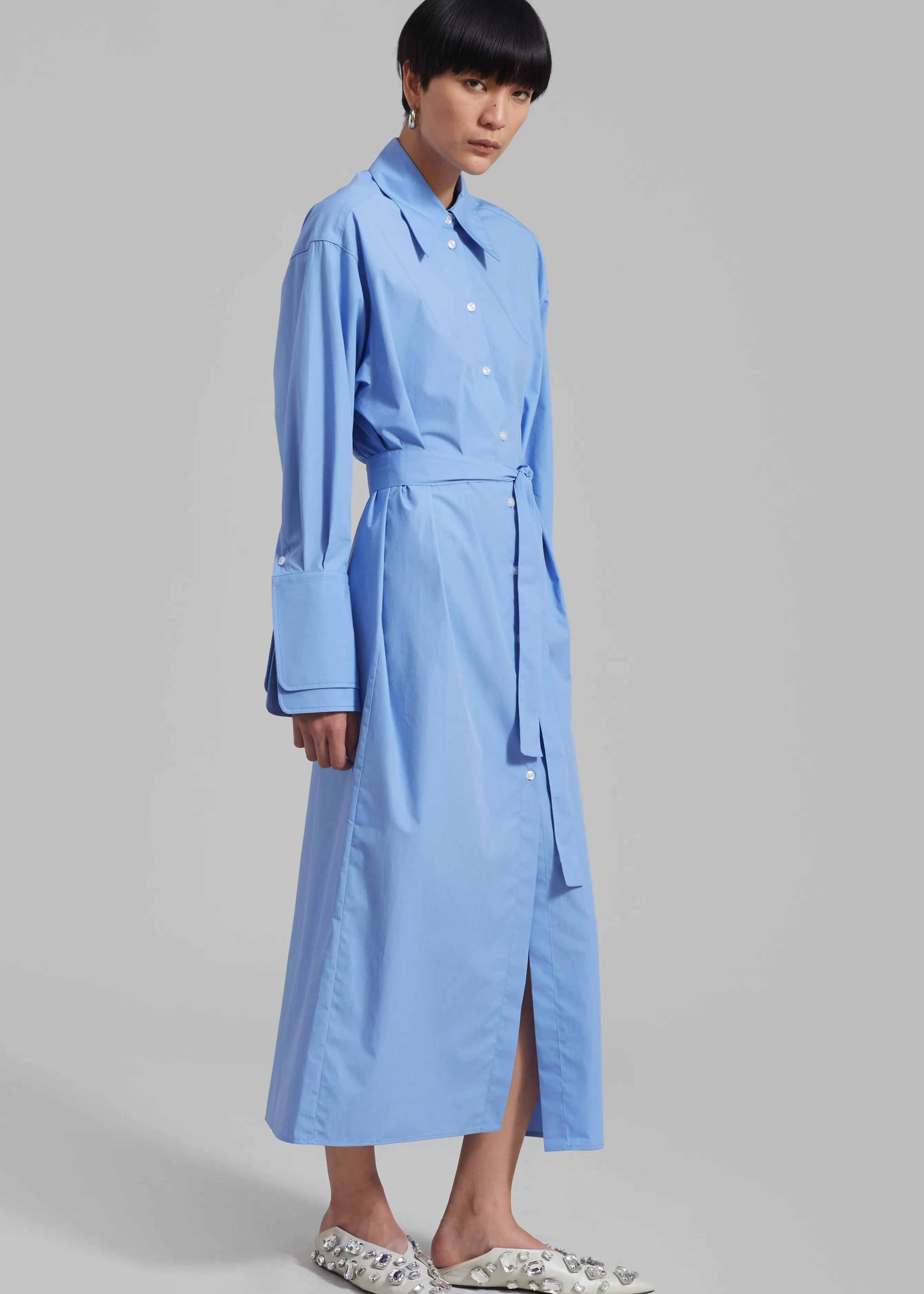 Women The Frankie Shop Rohe Poplin Shirt Dress