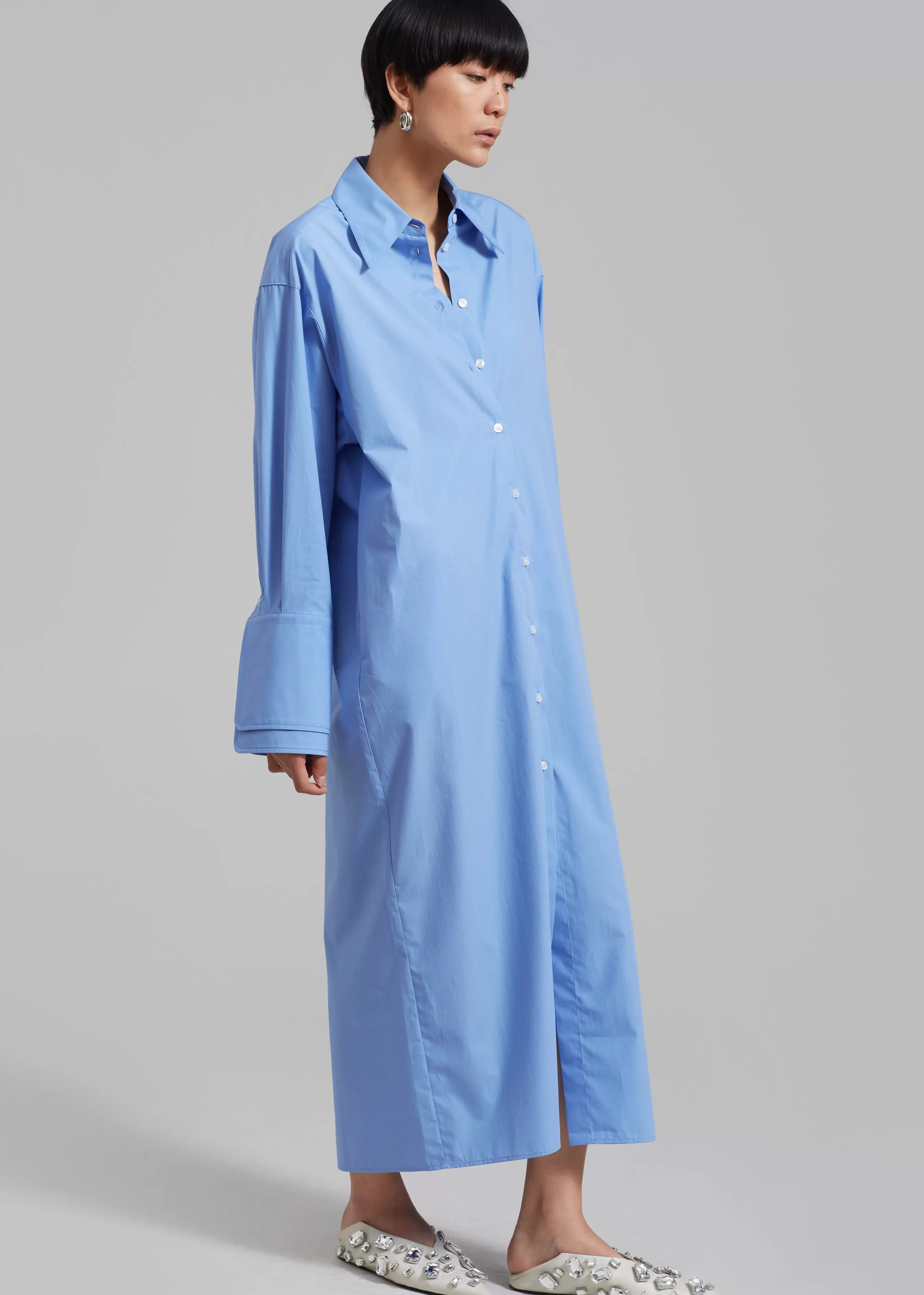 Women The Frankie Shop Rohe Poplin Shirt Dress